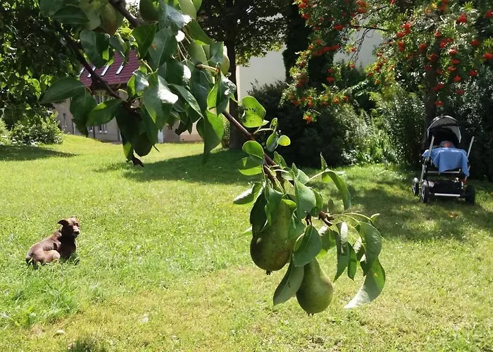 Διαμέρισμα Schwaebe Lommatzsch