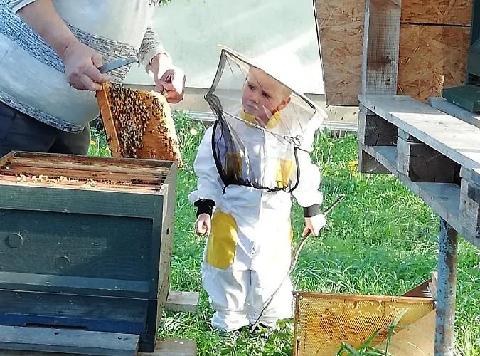 Schwaebe Appartamento